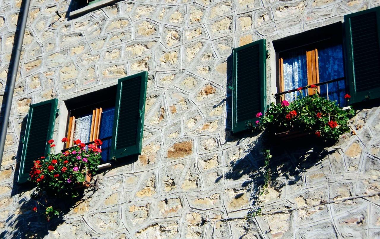 Andante Appartamenti Castelnuovo di Val di Cecina Zewnętrze zdjęcie