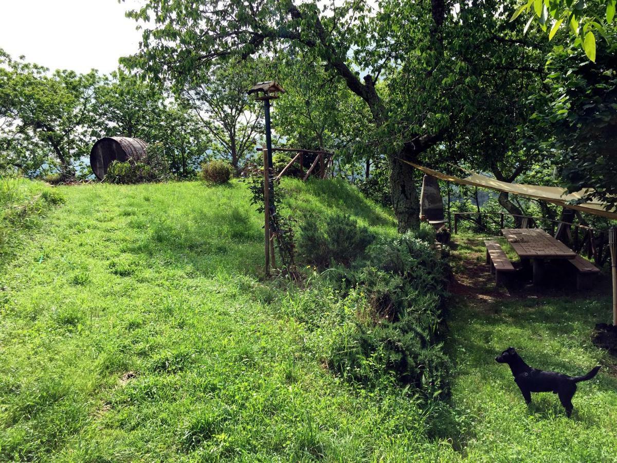 Andante Appartamenti Castelnuovo di Val di Cecina Zewnętrze zdjęcie