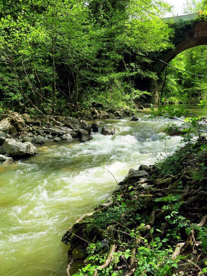 Andante Appartamenti Castelnuovo di Val di Cecina Zewnętrze zdjęcie