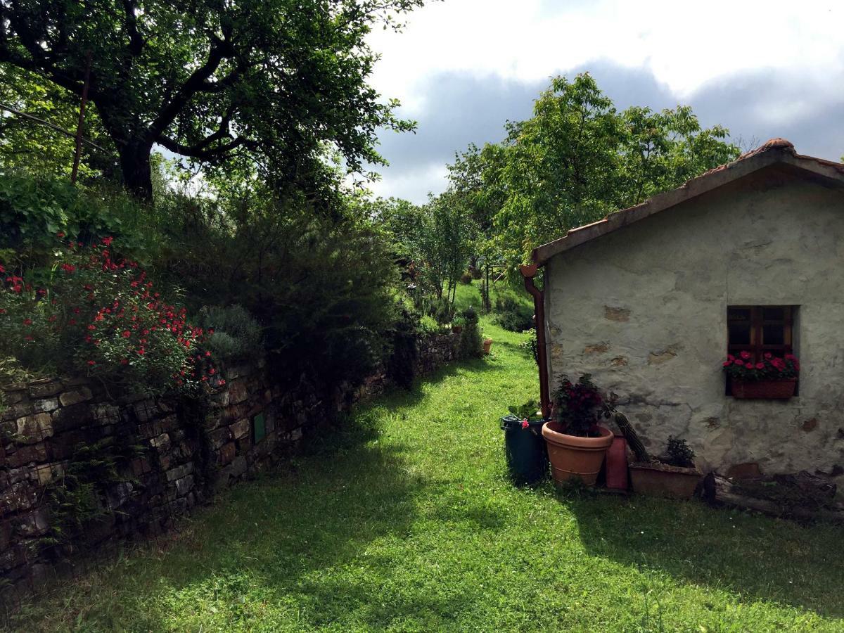 Andante Appartamenti Castelnuovo di Val di Cecina Zewnętrze zdjęcie