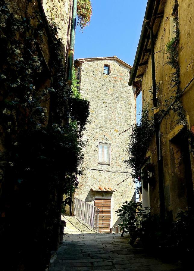 Andante Appartamenti Castelnuovo di Val di Cecina Zewnętrze zdjęcie